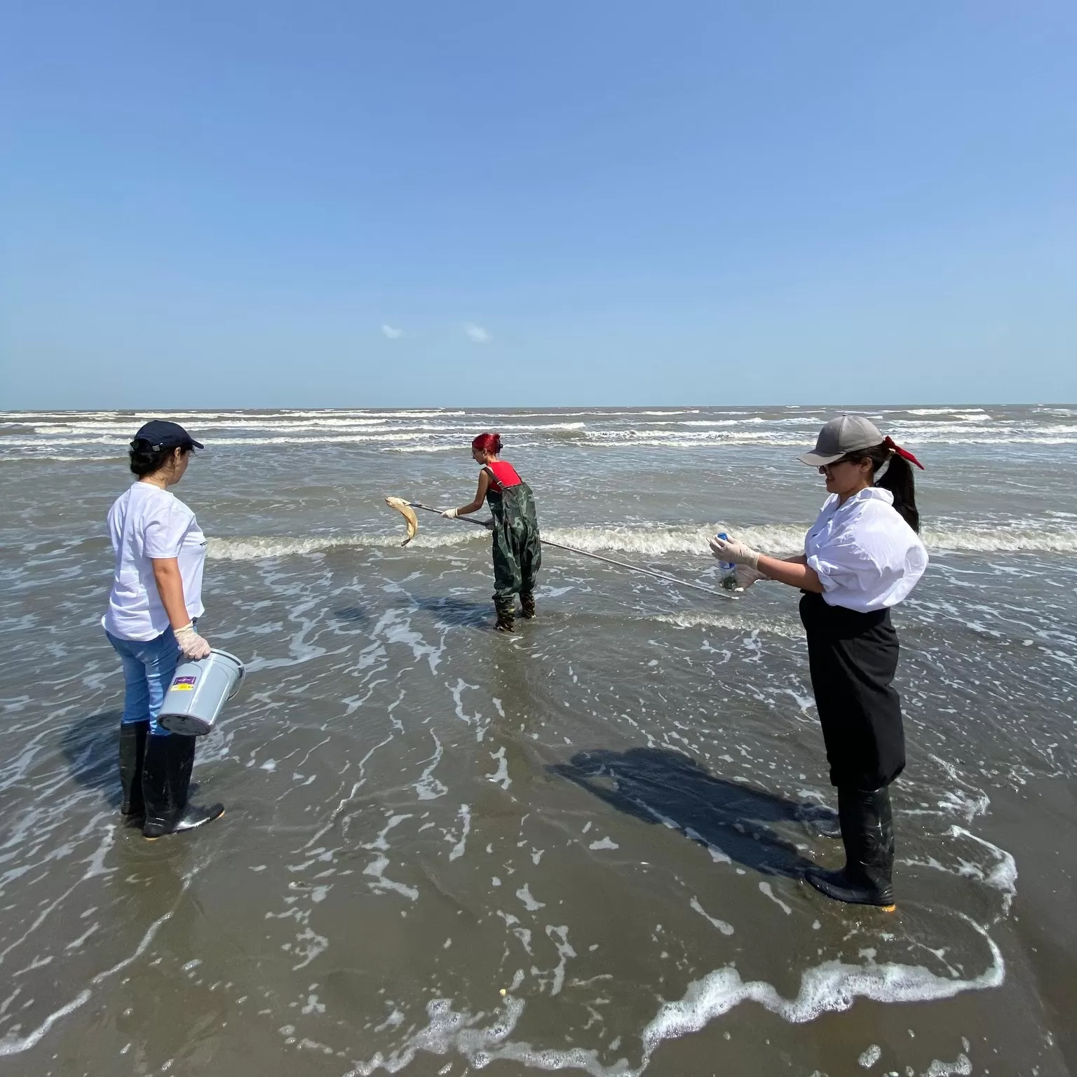 WCU Teachers and Students Conduct Joint Research with Latvian Scientists